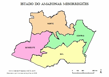 estado-amazonas-mesorregioes