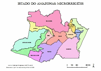 estado-amazonas-microrregioes