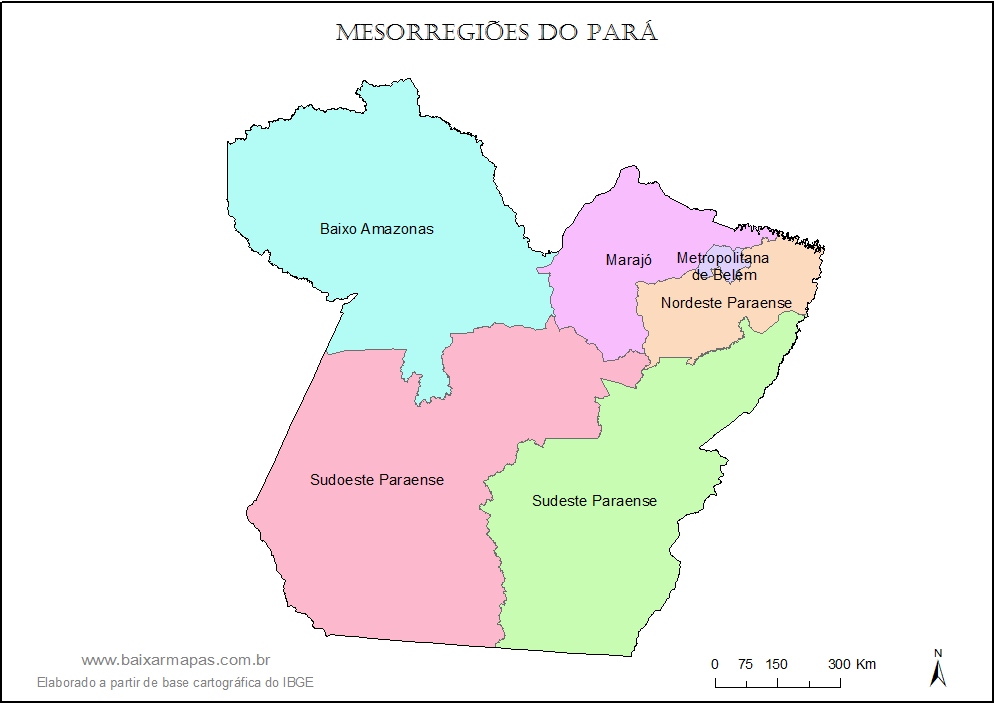 Mapa de mesorregiões do estado do Pará.